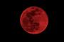 実を言うと地球はもうだめです。17日後にものすごく赤い満月があります。それが終わりの合図です。