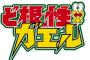 【画像】「まさに、ど根性」石垣のすきまから生えるキャベツwwwwwwwwww