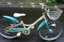 私を目の敵にする見知らぬ上級生Ａが石を投げてきた → 石が私の自転車に直撃 → キレた私はペダルを全力で漕ぎ、逃げ惑うＡを轢いた結果・・・