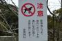 初詣に行ったら鳥居前で警備員ともめている家族→小型犬を抱っこしてた母親「え～ダメなんですか～？じゃドコで預かってくれるんですか～？」