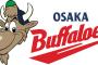 2001年優勝の近鉄のチーム防御率ｗｗｗｗｗ