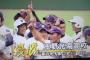 【画像、動画】高校野球で珍事ｗ　9回最後の打者を打ち取り大喜びで整列→審判「やっぱ今のファールだからなしね」→