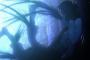 ［D.Gray-man HALLOW（ディーグレイマン ハロー）］4話感想 この絶望感！これこそDグレだ