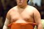 【朗報】今日の豪栄道さん、横綱鶴竜に勝ちうっかり12連勝