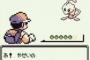 三大ポケモンの裏技「いきなりレベル100」「けつばん」「なぞのばしょ」