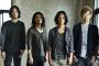 THE BACK HORNとかいう罠だけの一発屋バンドｗｗｗｗｗｗｗｗ