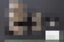 【画像】卑猥すぎる新種アンモナイトを発見ｷﾀ━━━━(ﾟ∀ﾟ)━━━━ !!!!!