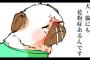 動物が可愛い漫画教えてｗｗｗｗｗ（画像あり）