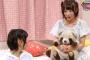【乃木坂46】この画像でボケて！！！！