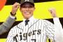 阪神タイガース 糸井嘉男 .306 7本 80打点 22盗塁