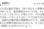 有田芳生議員「例えば親が子に『出て行け』と怒鳴ったり、ネトウヨを『湧き出てくるゴキブリ』と呼んでも、罵倒語はヘイトスピーチではない。法律の文脈が核心的精神なのです」