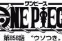 【ワンピース】ネタバレ 856話 今後のワンピで床にジャンプ投げつけたくなる展開書いてけｗｗｗｗｗ