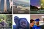 【画像】Googleの人工知能、黒人男性を「ゴリラ」とタグ付け、Googleは男性らに謝罪へｗｗｗｗｗｗ