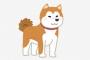 犬の攻撃方法→噛む