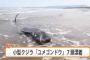 【訃報】九州のクジラやばい…大地震の前兆だろこれ…（画像あり）