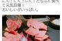 【画像】竹達彩奈さん、また肉を食うｗｗｗ