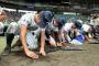 甲子園の砂持ち帰る行為wwwww