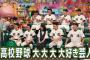 今年の甲子園大会でアメトーークに使われそうなネタ