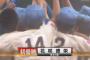 昨日の甲子園決勝の視聴率１７％wwwwwwwwwww	