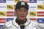 【朗報】阪神、優勝しそう