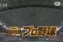 NHKのプロ野球中継とかいう欠点が何一つない番組