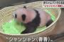 上野動物園の赤ちゃんパンダ、「シャンシャン（香香）」と命名、寄せられた過去最多32万2000件の中から選ばれる … ピンクピン太郎は落選、一般公開はまだ未定