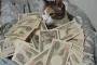 猫とお金　【御利益あるかも？】