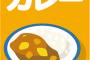 今の時代、100円のレトルトカレーでも美味いよな 	