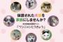 【朗報】「動物殺処分ゼロへ」東京都が犬や猫の譲渡サイト「ワンニャンとうきょう」開設！！