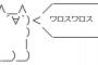 「へえっ！？」「やったぁ！」幼稚化するネットスラング