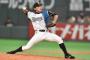 【朗報】淫夢語録だけでプロ野球選手人生を全うできることが判明！