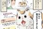 【画像】飼い猫のアゴが外れた！焦らず対応するためのマンガに大反響ｗｗｗｗｗ