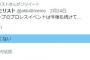 AKBヲタ3000人に「まだプロレスをやってほしいか」聞いた結果ｗｗｗｗｗｗｗｗ	