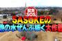 水曜日のダウンタウン「SASUKEの池の水全部抜くｗ」ワイ「絶対面白いやつですやん…」
