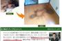 不動産「アカン、事故物件出てもた・・・」管理会社「うーん、これはセーフ！ｗｗｗｗｗｗｗｗ」