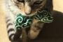 【悲報】ワイの子猫、イタズラばっかりするｗｗｗｗｗｗｗｗ