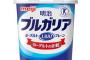 【最高】ブルガリアヨーグルトにあるものを突っ込んでおくとギリシャヨーグルトみたいになるらしいぞ！！