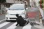 信号無視した車が爺さんをはねた！→俺「通報します！」車から出てきたＢＢＡ『なんでかってにＫ察に電話するのよ！こっちは子供乗せてるのよ！事故にならないの！』俺「えっ」