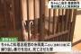 ちゃんこ料理屋で店主が調理手順を間違えた事に腹を立て、2人がかりで長時間暴行を加え死なせた事件、濱野慶治被告（46）に懲役15年、関一也被告（46）に懲役10年の実刑判決 - 大津地裁