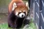 【神対応】八木山動物園のスタッフさんが素晴らしすぎる件・・・・