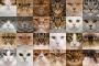 【画像】猫の顔を３６個並べてみた。
