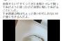 夜店の金魚を「自然に帰してあげる」とトイレに流す動画をツイートした女に非難殺到→ 女「トイレは池に直結しているから育つ！命を粗末にするわけないやろ！」と逆ギレ