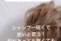 綾巴たんは髪が薄いおじさんのファンについてどう思いますか。僕は頭頂部ヤバイです
