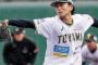 村田村田うるさいからBCリーグで元NPB選手(コーチ兼任以外)の好成績選手を貼っていく