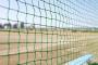 高校野球は見るのにプロ野球あまり見ないんやが