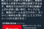 【悲報】任天堂さん、オンラインサービスを有料化してしまう