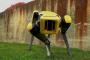 話題の高性能ロボット犬「スポットミニ」が量産間近、気になる就職先は？…ボストン・ダイナミクス社！