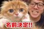 【悲報】ヒカキン2匹目の猫の名前「もふこ」がテキトーで酷すぎると大炎上中ｗｗｗｗｗ