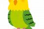 【画像あり】俺の飼ってる10万する鳥さんの顔晒すｗｗｗｗｗｗ