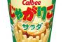 【悲報】サラダ味のスナック。サラダの味がしない